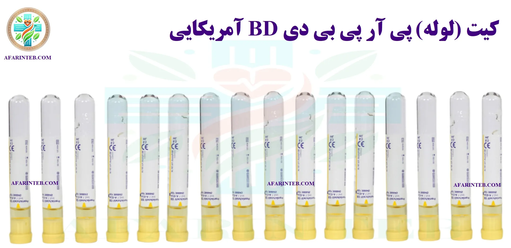 کیت بی دی آمریکایی
